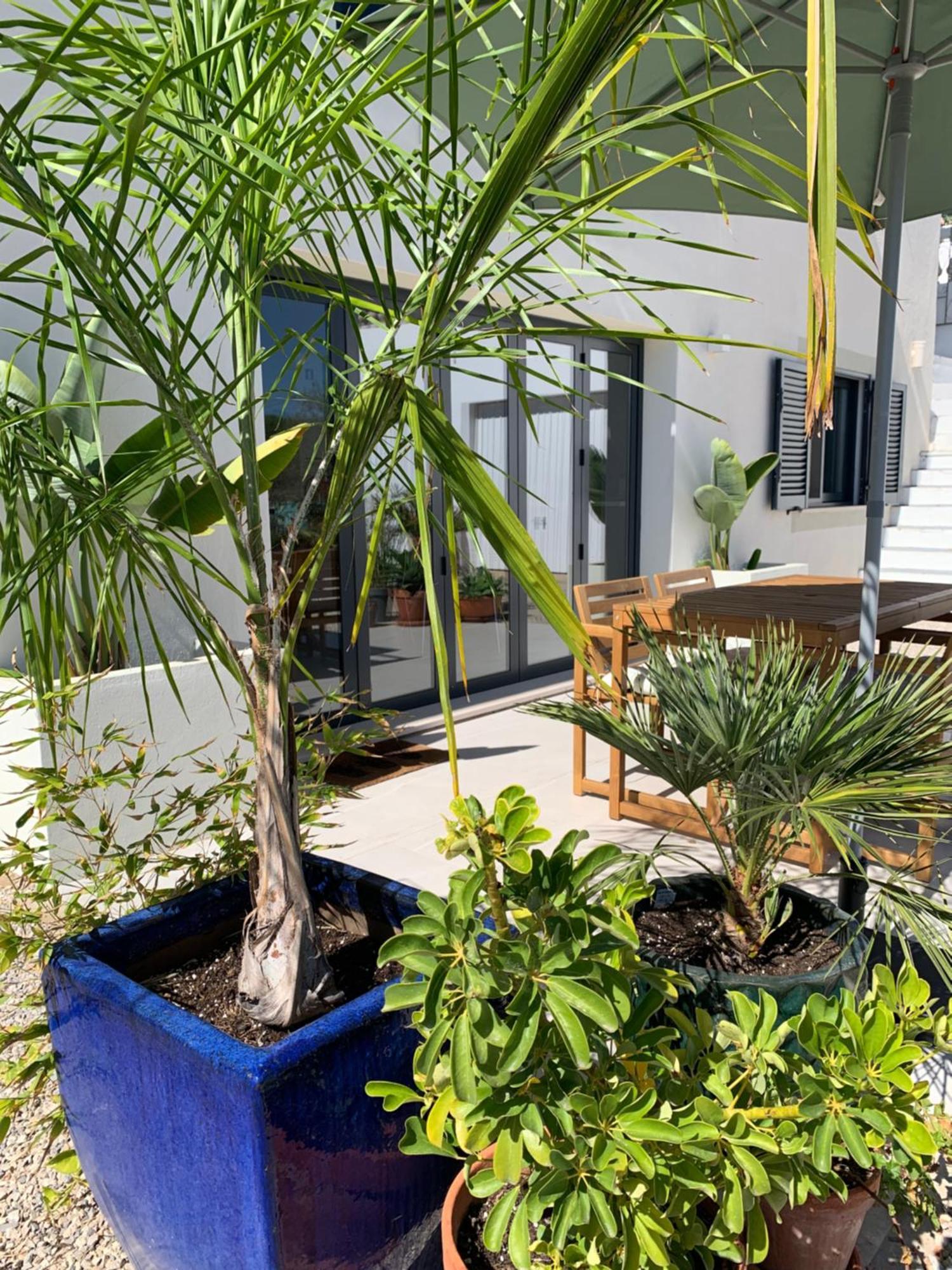 A Tranquil Garden Apartment, Carvoeiro - Benagil Exterior foto